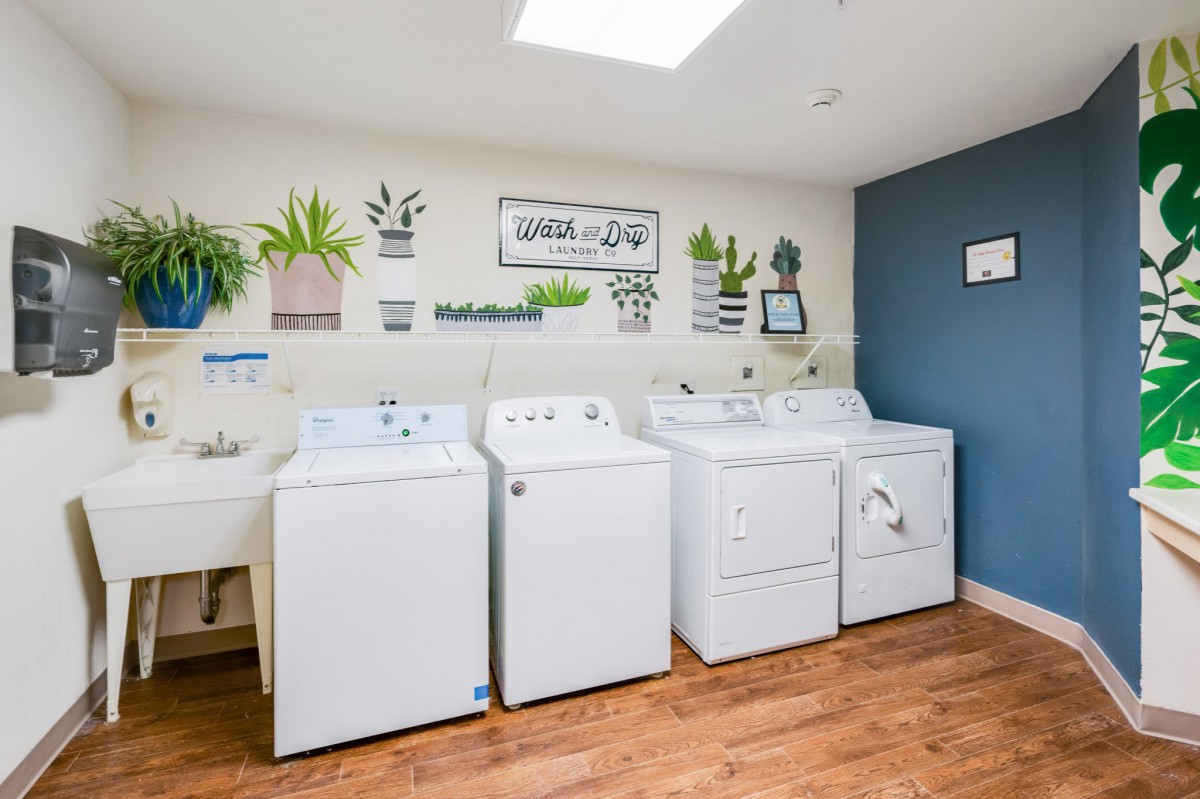 A well-organized laundry room with washing machines, a dryer, and decorative plants.