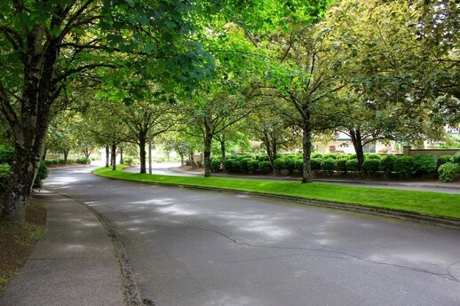 Magnolia Gardens Senior Care Home