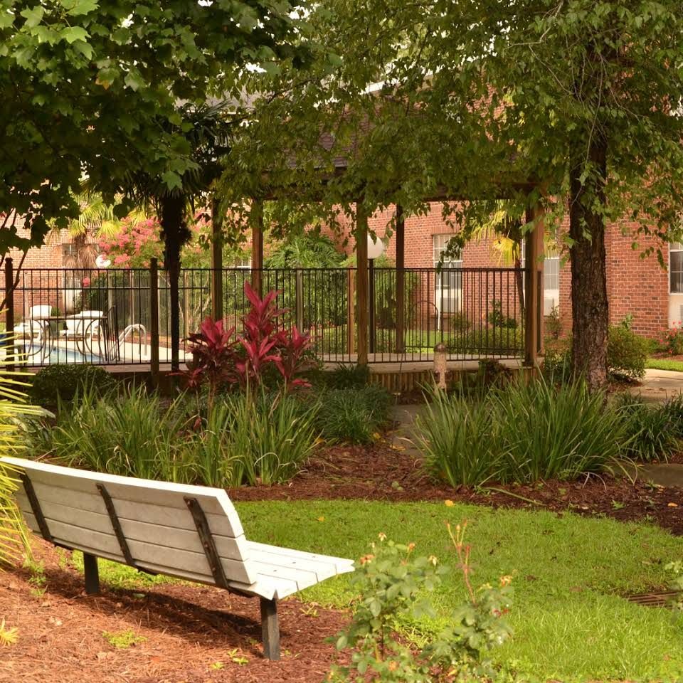 A tranquil park setting with a bench, surrounded by lush greenery and trees.