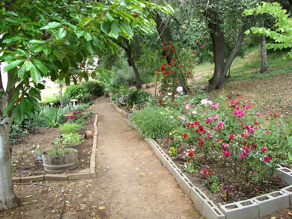A peaceful garden pathway surrounded by blooming flowers and lush trees.