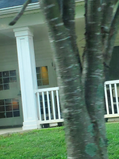 A view of a house with a porch and a tree in the foreground.