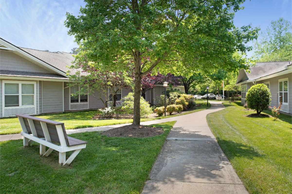 A serene park pathway lined with lush trees and a bench for relaxation.