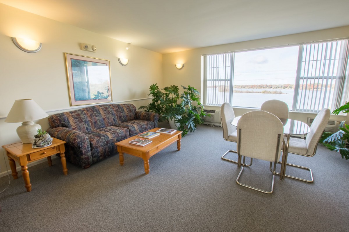 A cozy living room with a comfortable sofa and a dining area, decorated with indoor plants and modern furnishings.