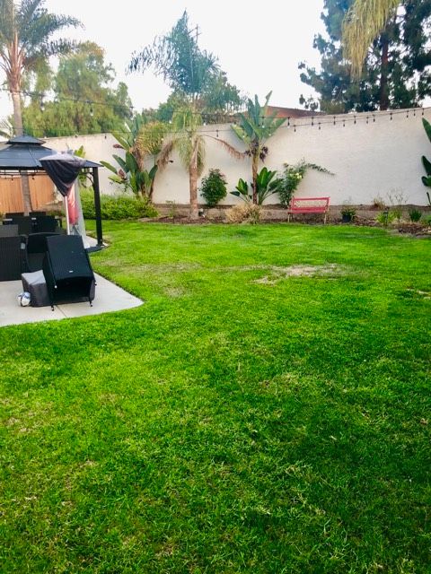 A well-maintained backyard with a lush green lawn and a gazebo.