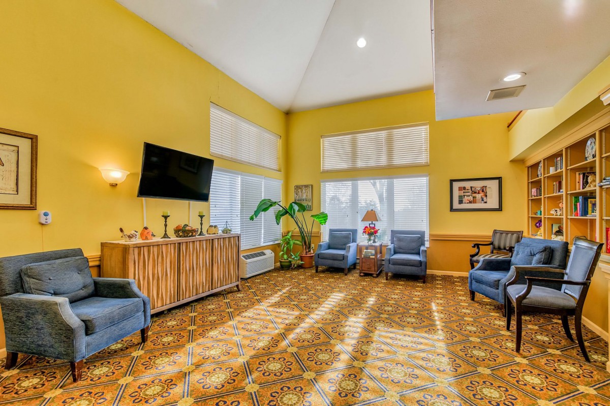 A bright living room with yellow walls, comfortable seating, and a mix of natural and decorative elements.