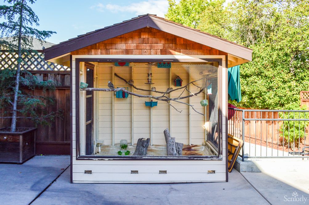 An outdoor aviary designed to house birds, situated in a backyard setting.