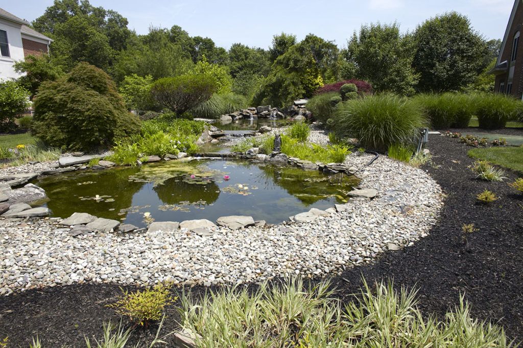 A serene garden landscape featuring a small pond surrounded by greenery and rocks.