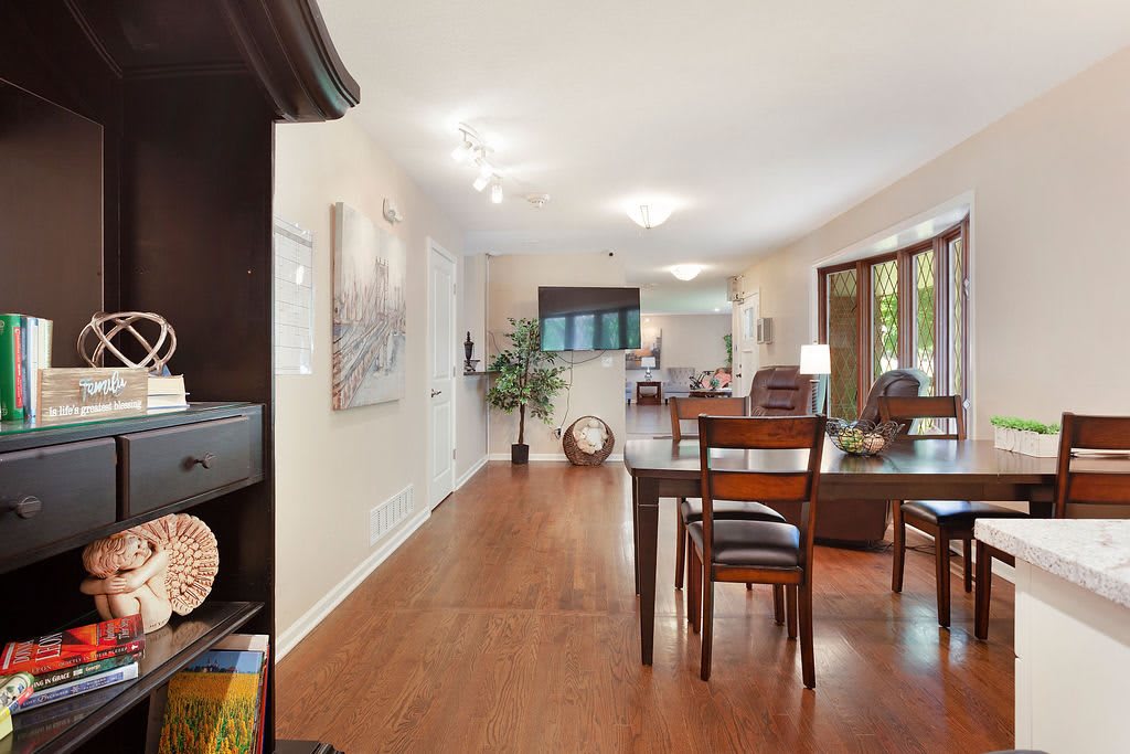A modern living and dining area with hardwood floors, contemporary furniture, and indoor plants.