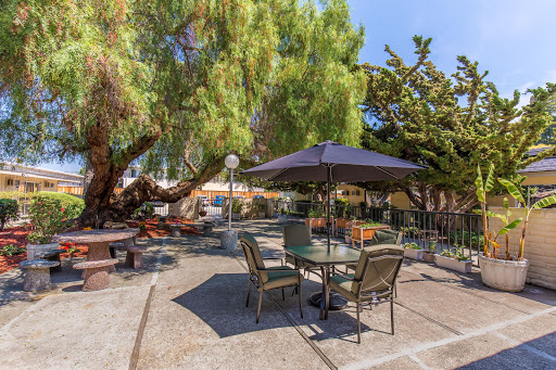 A serene outdoor patio area with a table, chairs, and an umbrella surrounded by lush greenery.