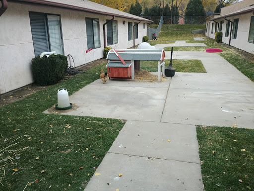 A view of a residential area with green lawns, concrete paths, and parked objects.