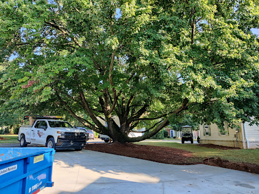 A large tree shades a parking area with vehicles parked nearby.