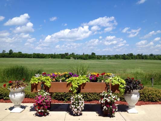 A vibrant garden scene with colorful flowers in planters against a backdrop of lush greenery and a blue sky dotted with clouds.