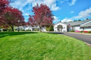 A scenic view of a well-maintained lawn with trees and a house in the background.