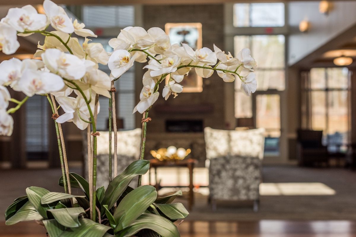 A beautifully arranged orchid plant decorates a cozy and elegant lobby space.