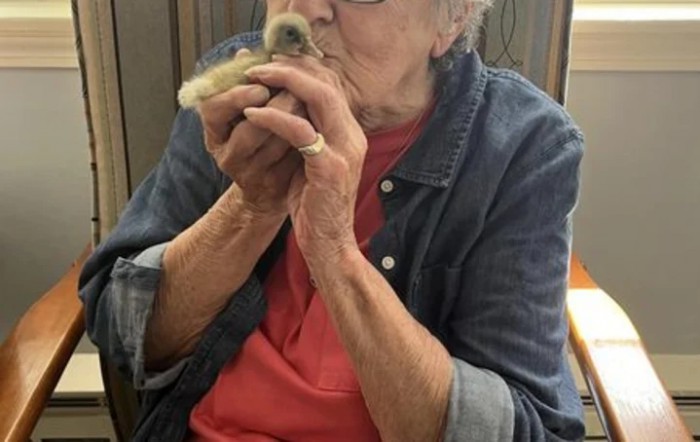 An elderly woman lovingly holds and kisses a small chick.