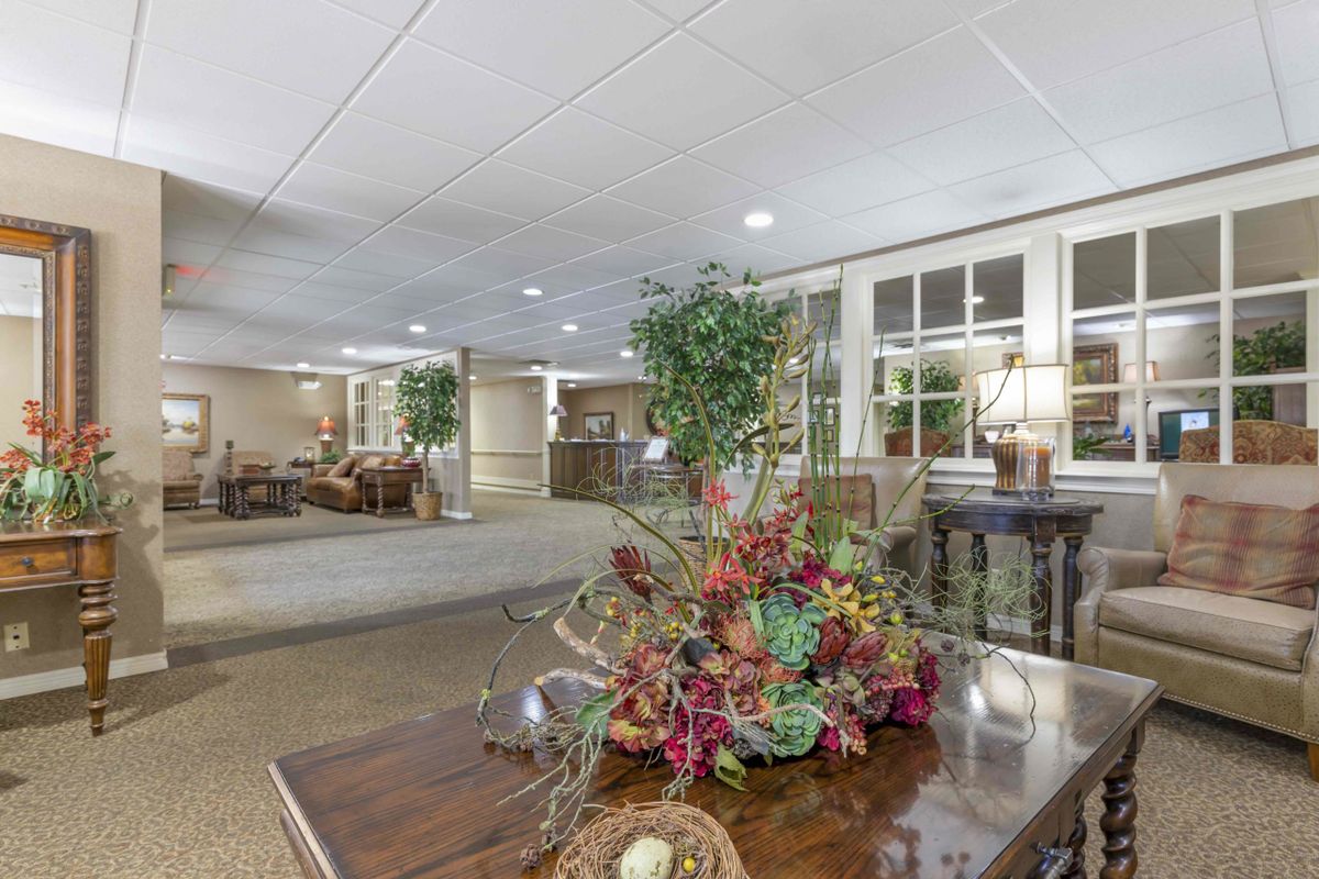 A well-decorated lobby area with a central plant arrangement on a wooden table.