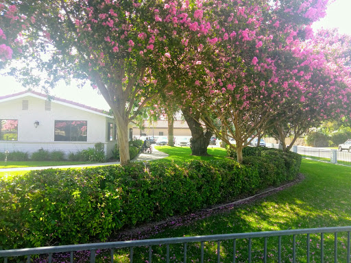 A serene landscape featuring flowering trees and well-maintained greenery.