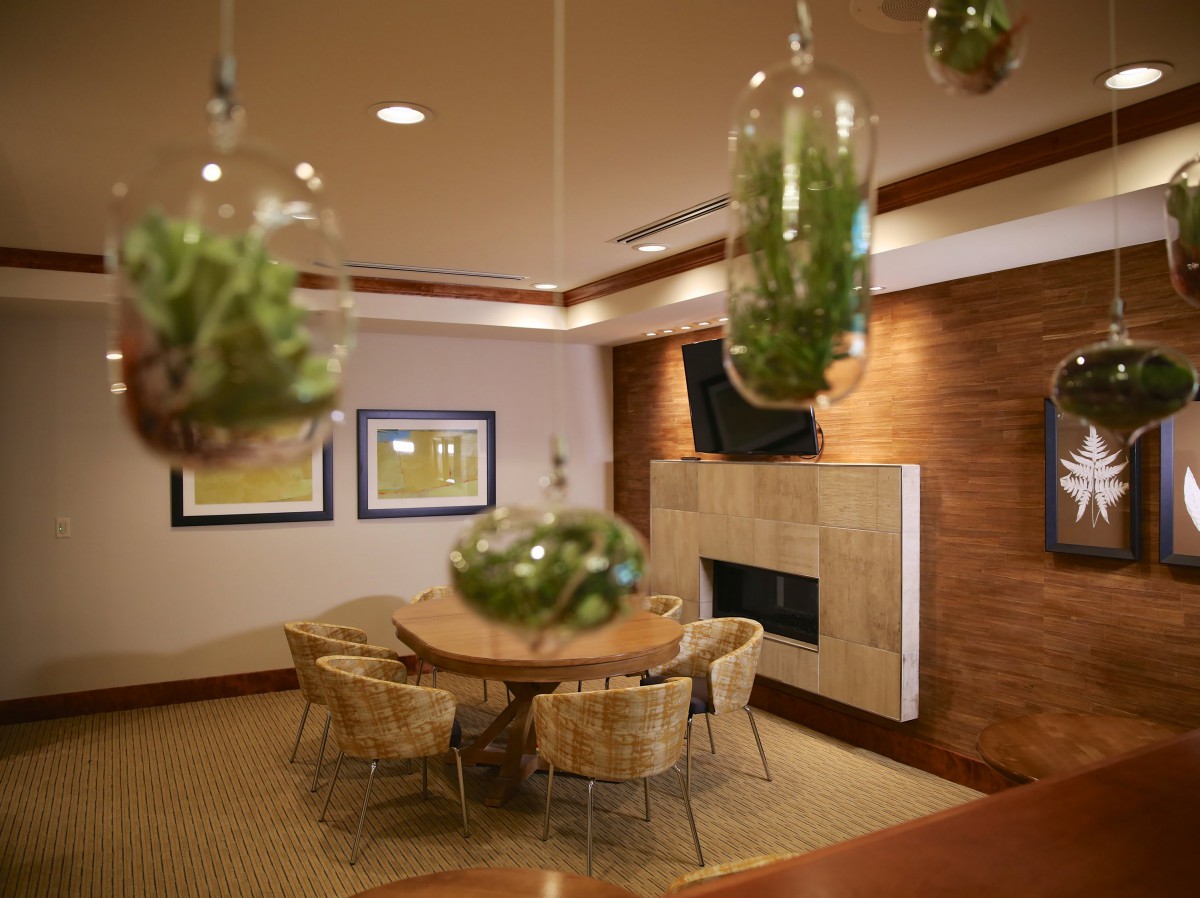 A modern living room with hanging plants, a fireplace, and stylish furniture.