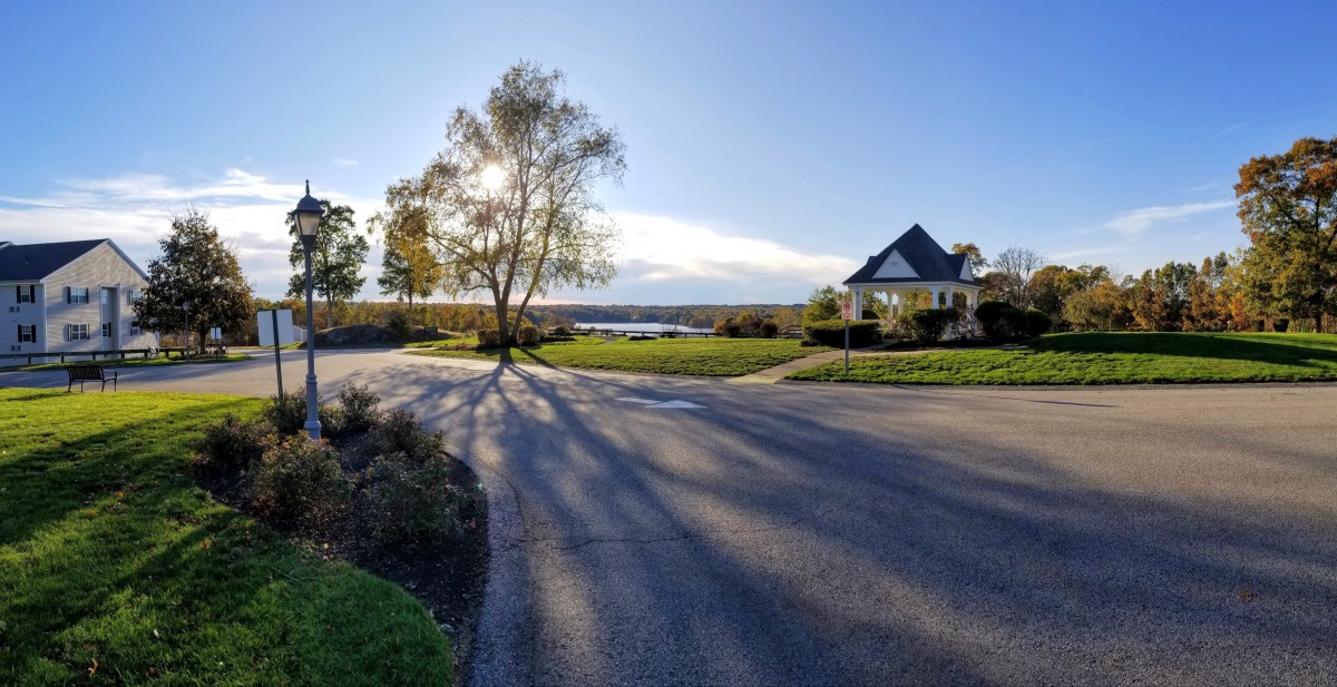 A quiet rural scene with a house and a tree casting long shadows on a sunlit road.