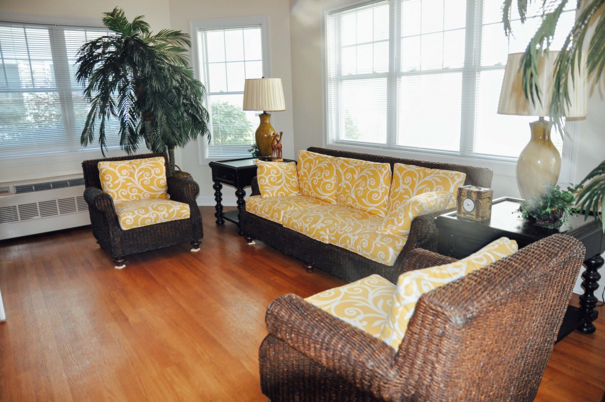 A cozy living room featuring wicker furniture, a large indoor plant, and abundant natural light from tall windows.