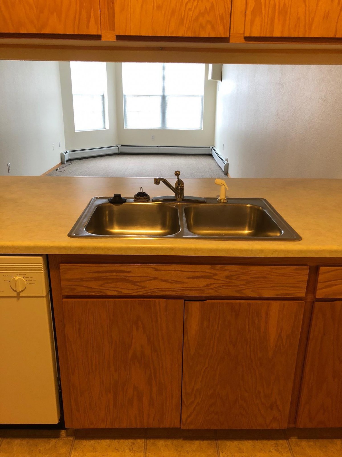 A kitchen area featuring a double sink with a faucet on a countertop, wooden cabinets below, and a dishwasher to the side. A window is visible in the background.
