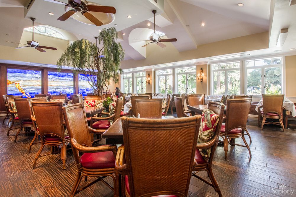 A cozy restaurant interior with wicker chairs and tables, featuring large windows and indoor plants.