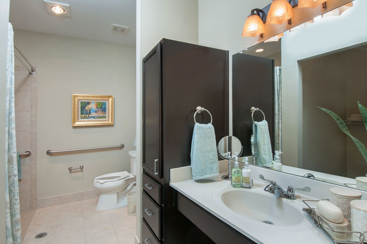 A modern bathroom featuring a sink with mirror and cabinet, alongside a toilet and decorative elements.