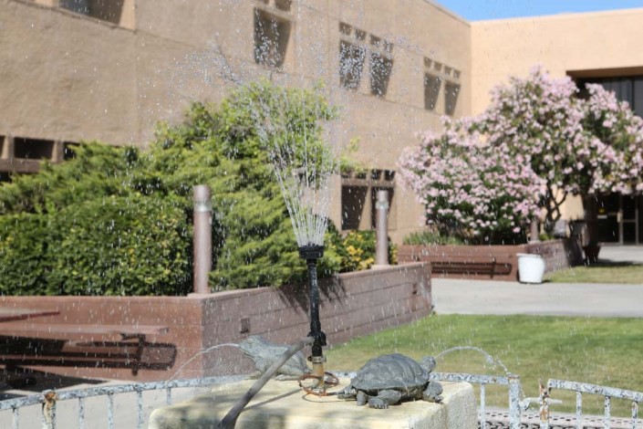 Park Avenue Health And Rehabilitation