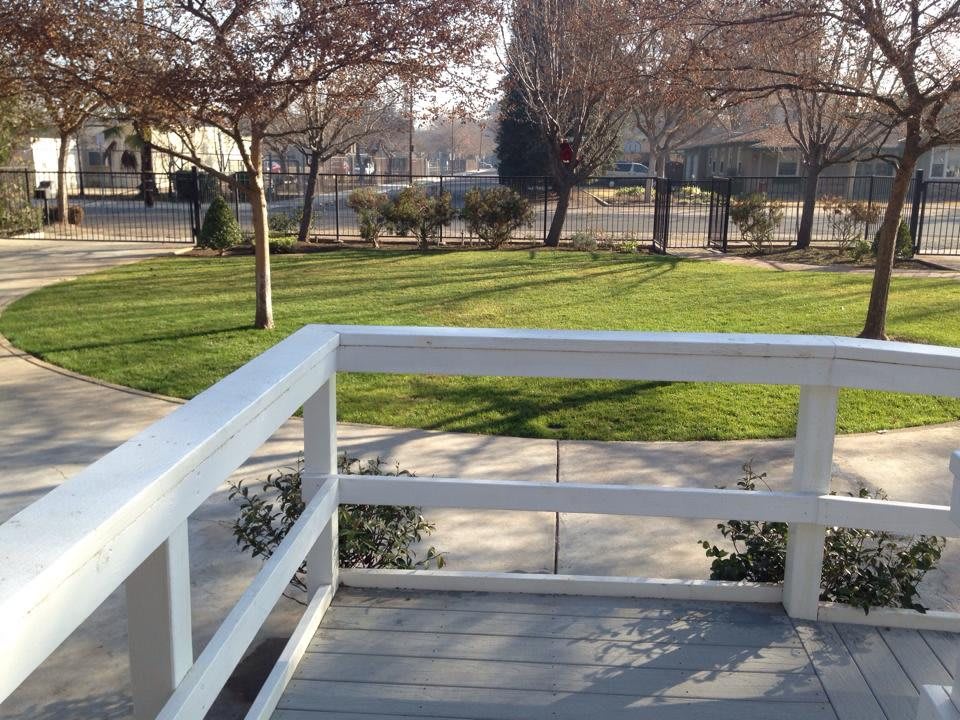 A sunny day in the park with a view of grass, trees, and a fenced pathway.