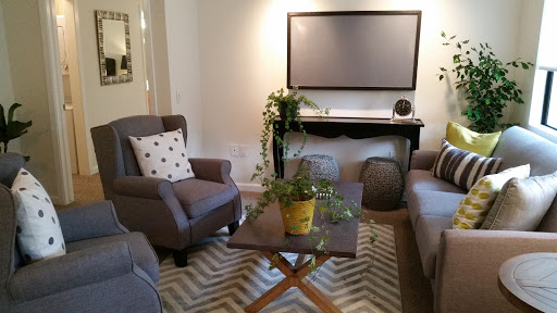 A cozy and modern living room setup with comfortable seating, a stylish coffee table, and decorative plants.