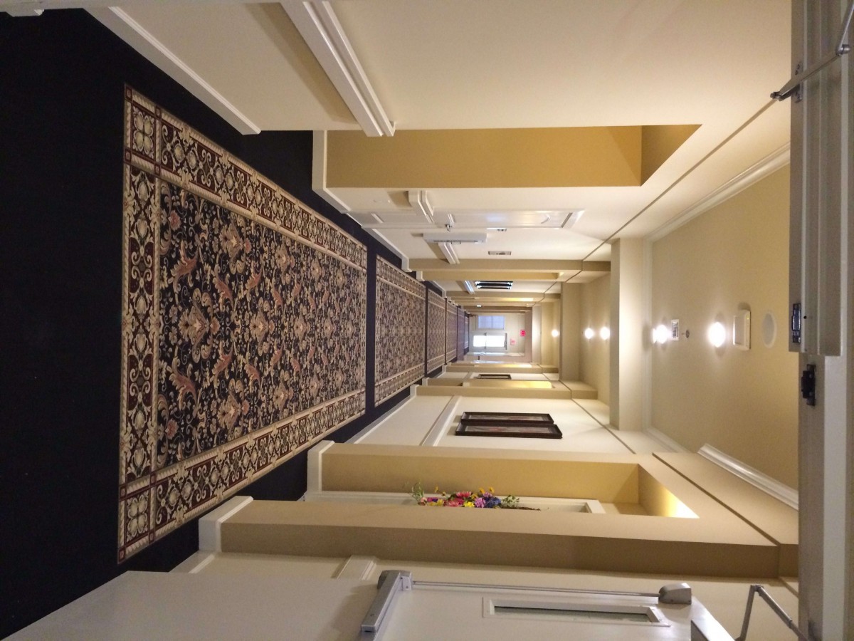 A well-lit hallway with a patterned carpet and doors on each side.