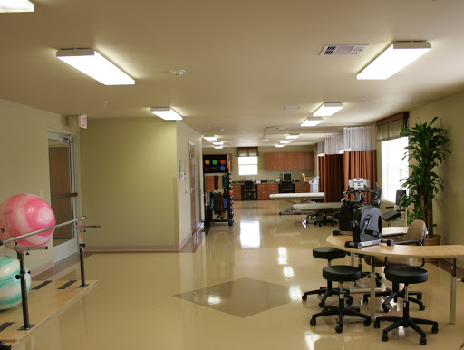 A spacious and well-lit office or workspace featuring desks and ergonomic chairs.