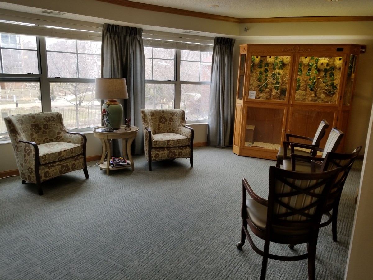 A cozy living room with comfortable chairs and large windows.