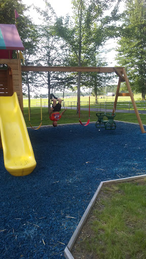 A vibrant playground featuring a yellow slide and swings, surrounded by greenery.