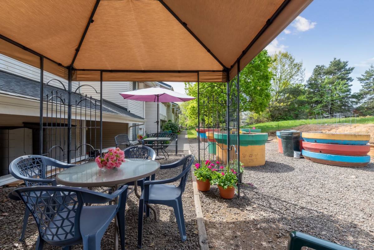 A cozy outdoor patio area with a gazebo, table, and chairs, surrounded by greenery and potted plants on a sunny day.