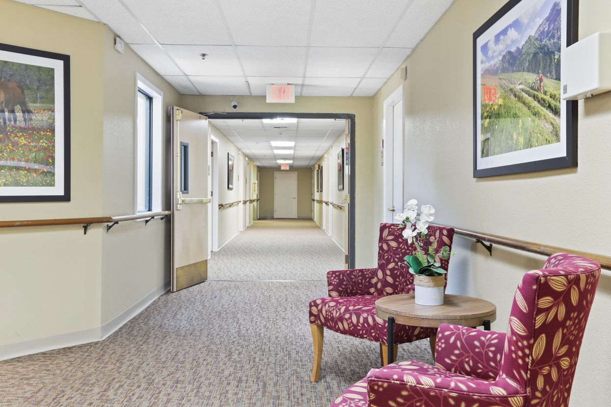 A well-lit hallway with floral chairs and a potted plant.