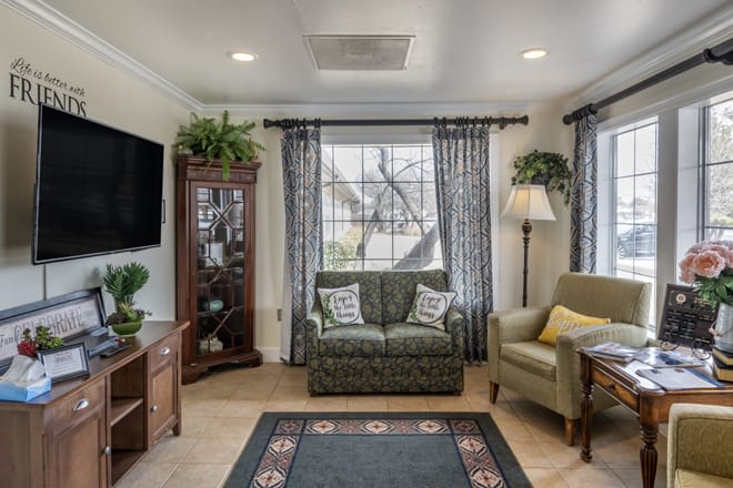 A cozy living room with a sofa, armchair, and television, featuring elegant curtains and decorative plants.