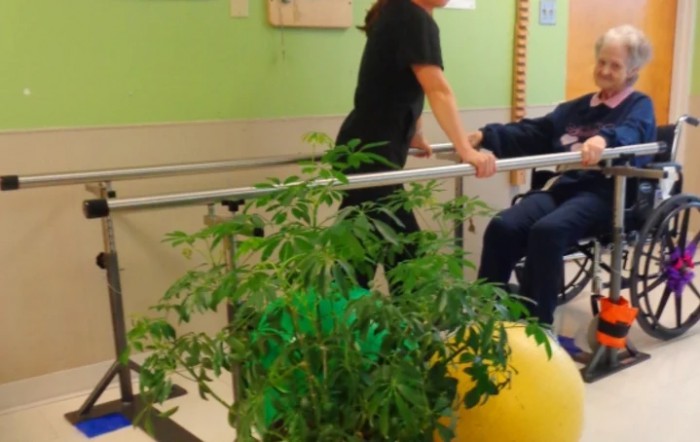 Carrollton Nursing & Rehab Center