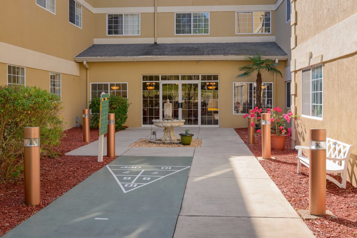 A welcoming hotel entrance with a landscaped pathway and palm tree.