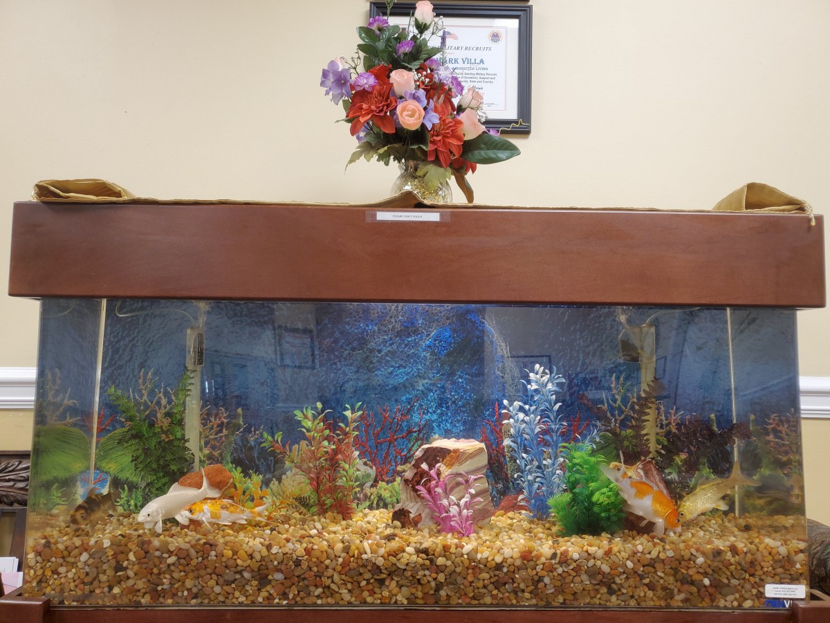 A decorated aquarium with colorful fish and plants, topped with a floral arrangement.