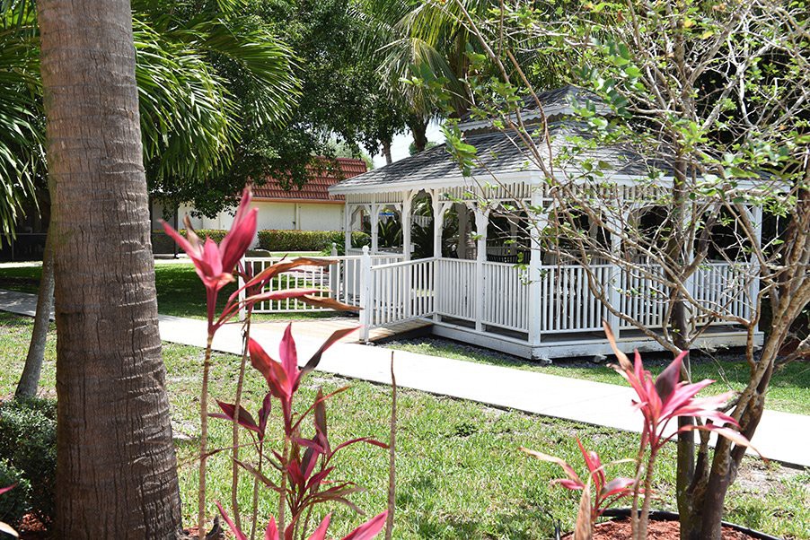 A charming white gazebo surrounded by lush tropical plants and palm trees in a garden setting.