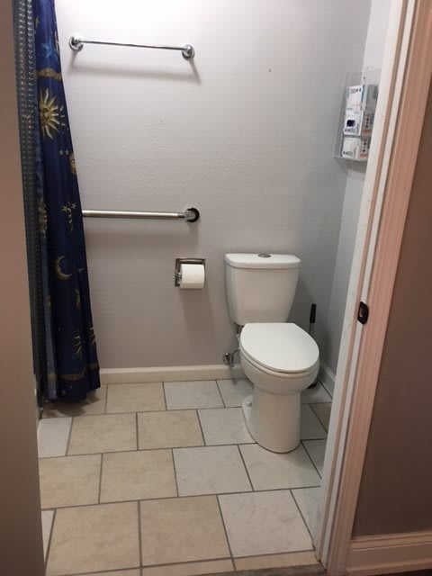 A small bathroom with a toilet, handrail, and shower curtain.