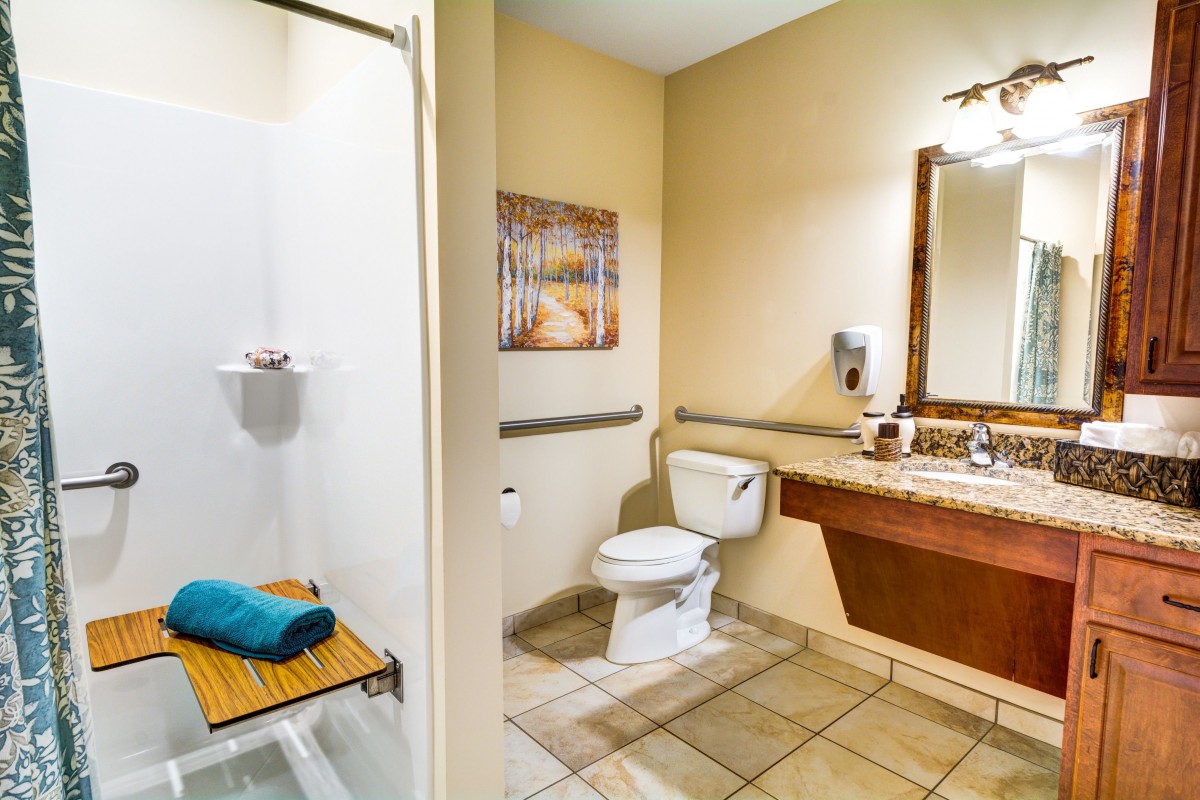 A well-equipped, handicap-accessible bathroom with a shower, toilet, sink, and mirror.