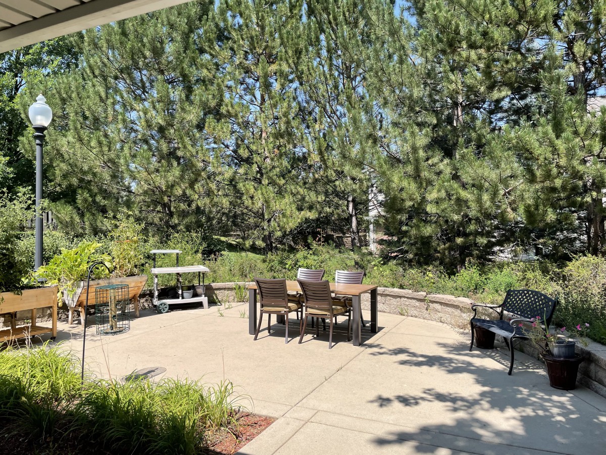 A sunny patio with outdoor seating and a grill surrounded by trees.