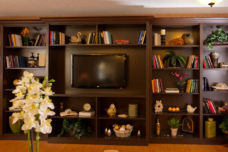 A cozy living room bookshelf with a television at the center, surrounded by books and decorative items.