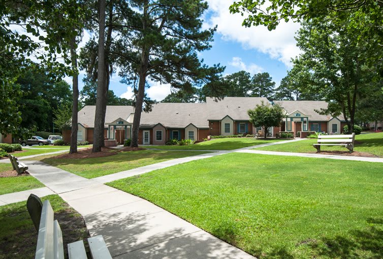 A peaceful residential area with well-maintained lawns and a row of apartment buildings surrounded by trees.