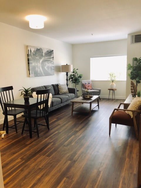 A bright and cozy living room with a sofa, chairs, coffee table, and decor including plants and artwork.