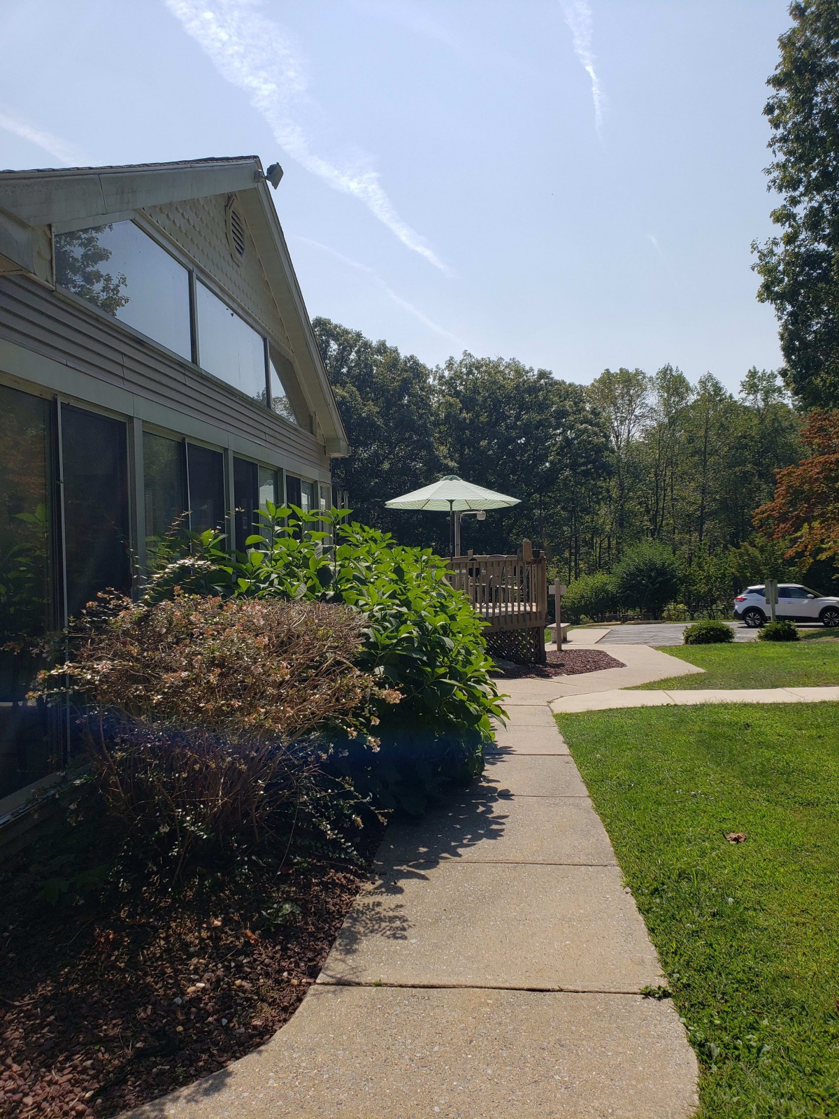 A sunny day view of a house with a garden and patio umbrella.