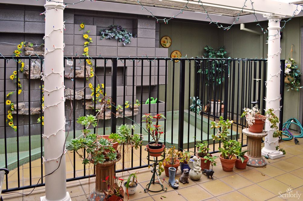 A charming courtyard filled with various potted plants lined along a black fence, creating a small urban oasis.