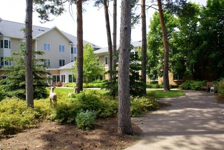 A serene view of a landscaped area featuring trees and a building in the background.